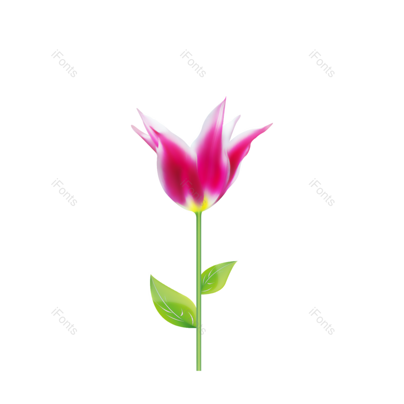 花朵图片,鲜花元素,女王PNG,女王节免抠素材